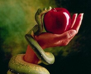 Serpente fruto proibido