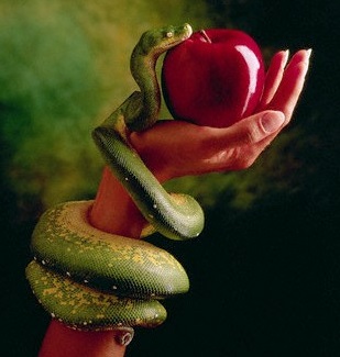 Serpente fruto proibido