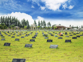 cemitério jardim