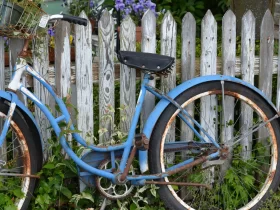 bicicleta velha