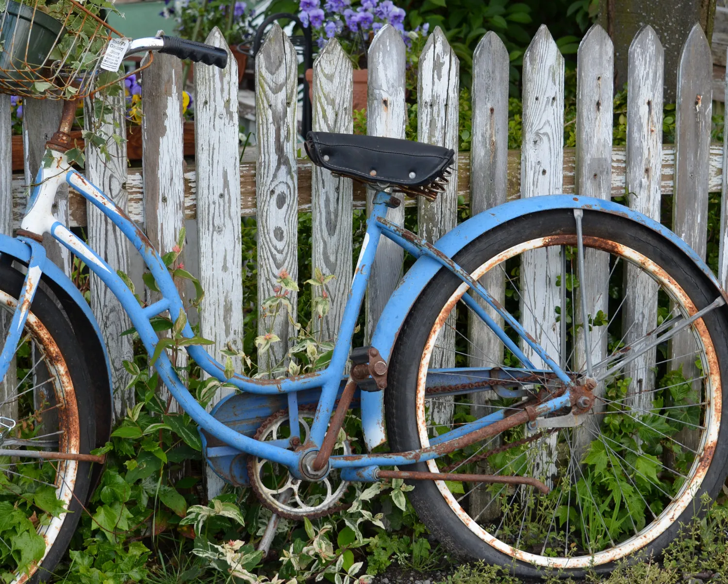 bicicleta velha