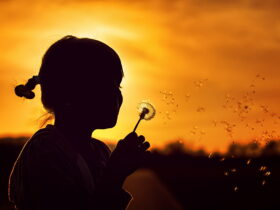 menina por do sol dente de leão