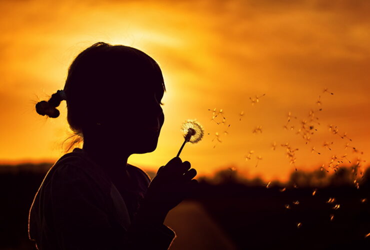 menina por do sol dente de leão