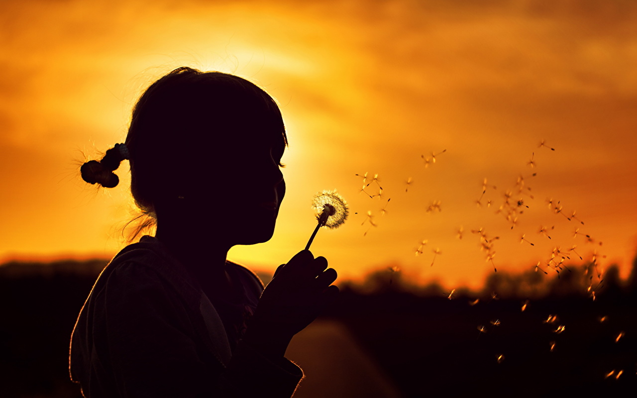 menina por do sol dente de leão