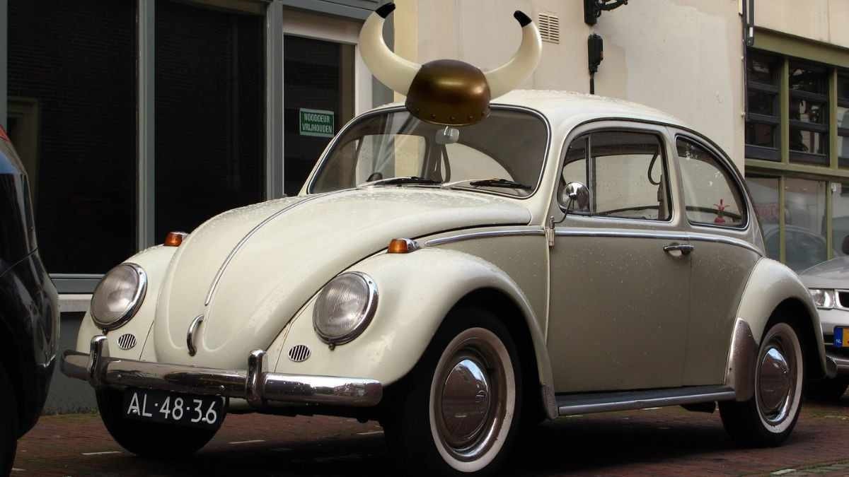 fusca corno chifre