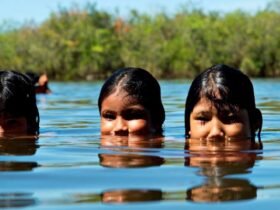 indios indígenas rio