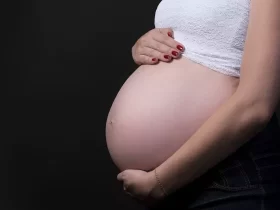 grávida barriga ventre