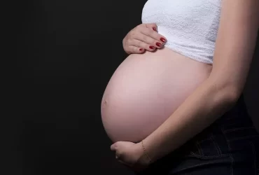 grávida barriga ventre