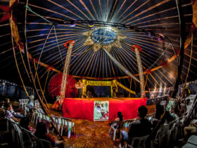 circo picadeiro
