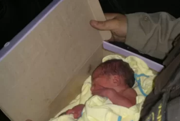 feto caixa de sapato