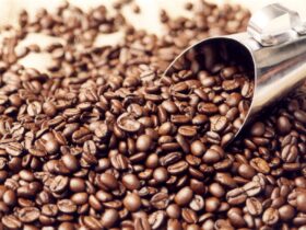 café grãos