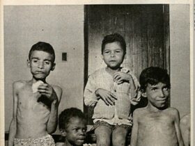 vivenda da luz órfãos