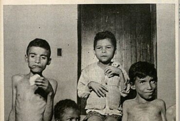 vivenda da luz órfãos