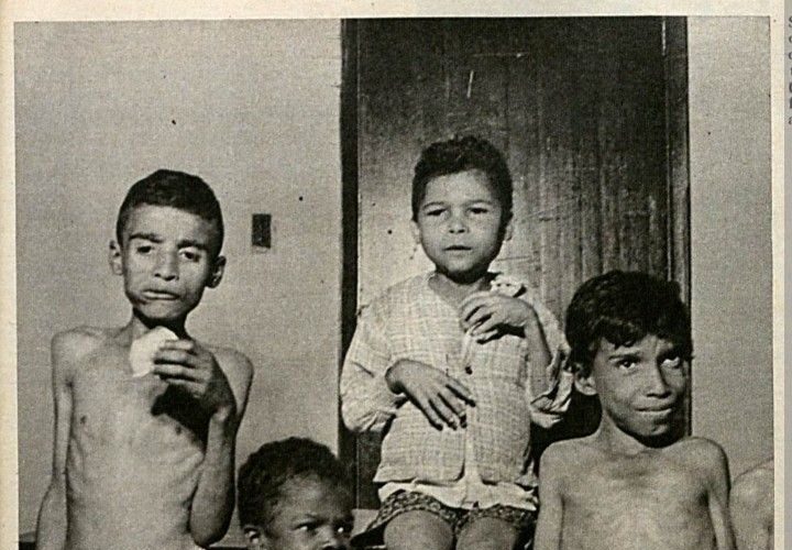 vivenda da luz órfãos