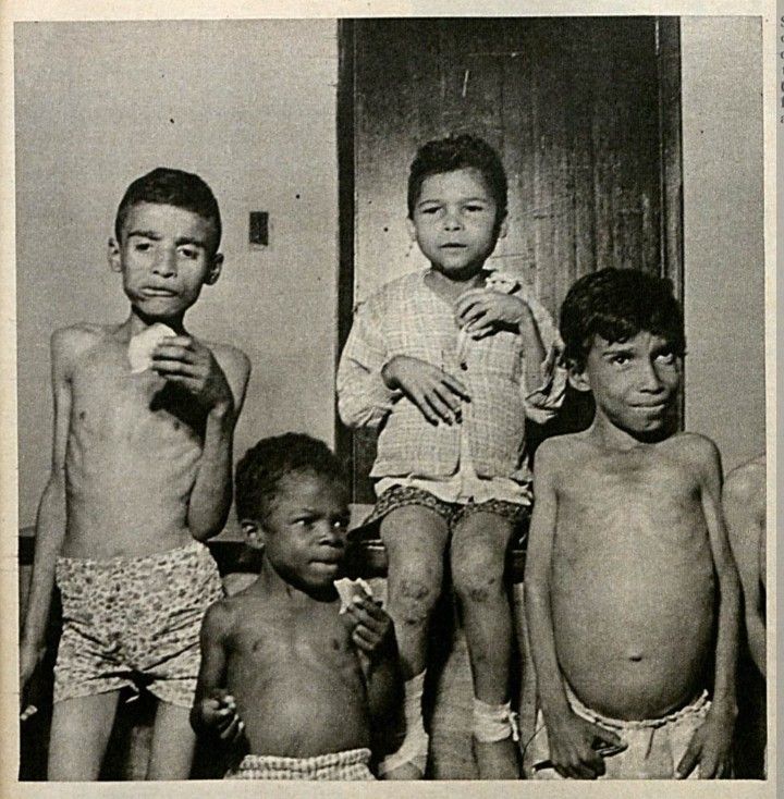 vivenda da luz órfãos