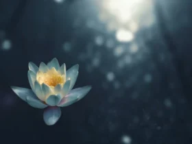 yoga mergulho