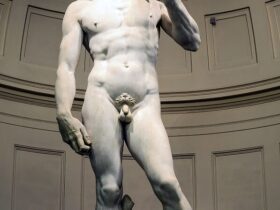 davi michelangelo